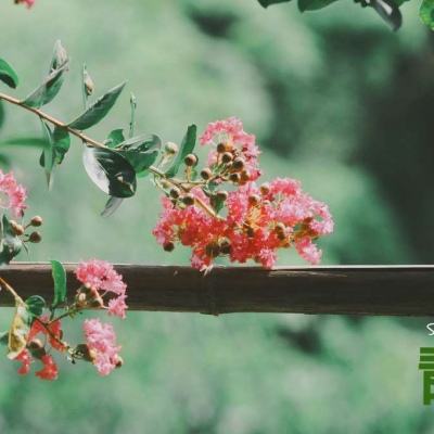 乐鱼APP官方登录入口leyu